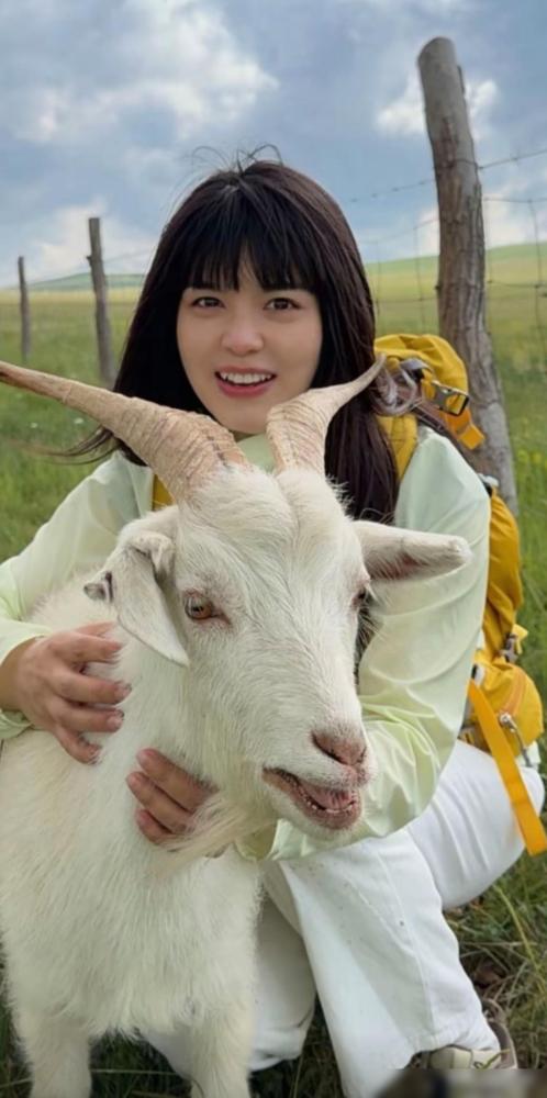西安女孩折返内蒙赤峰草原，买下小羊运去西安的故事仍在延续。

说真的别拿这事喝什