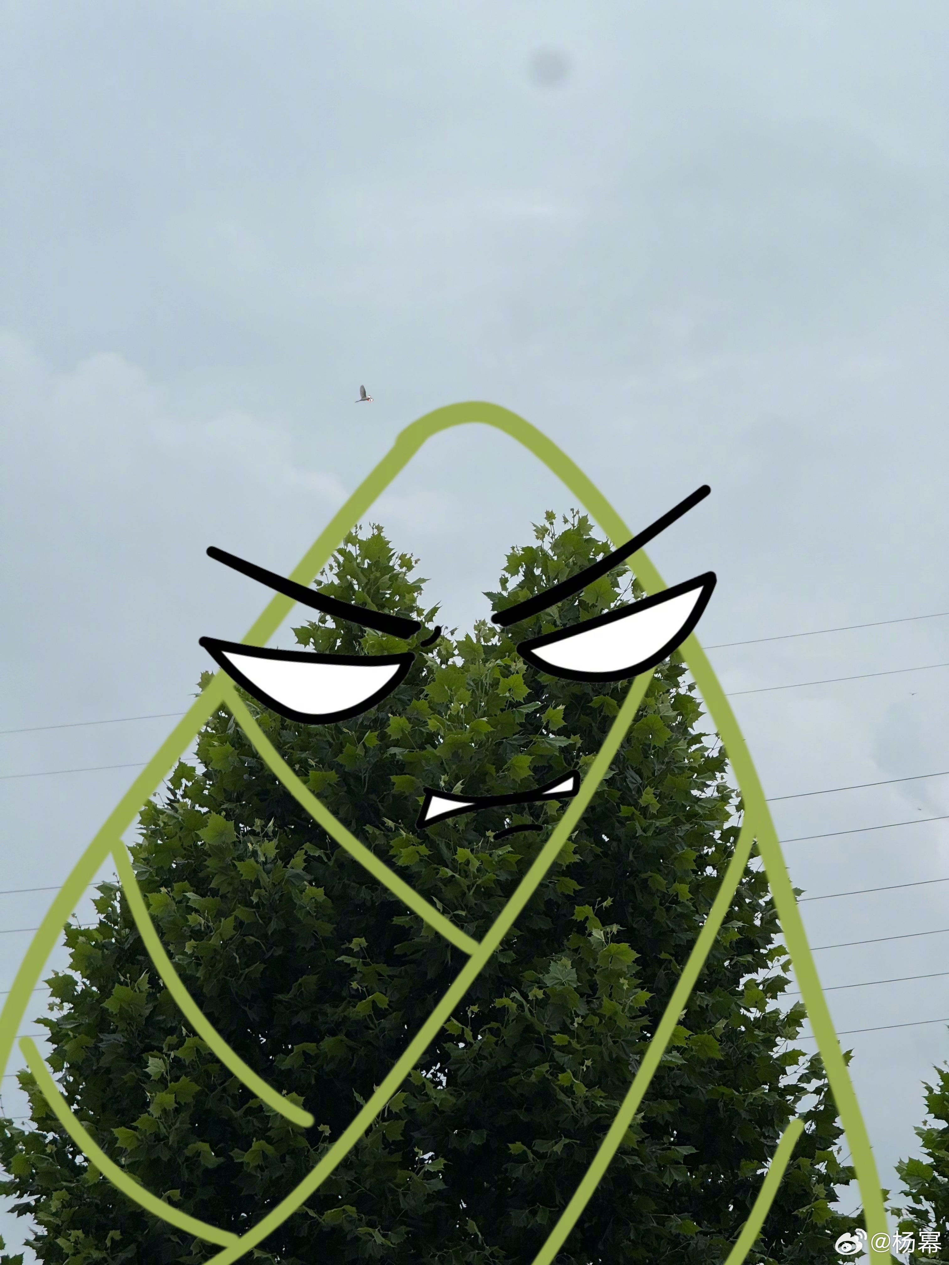 ？ 
