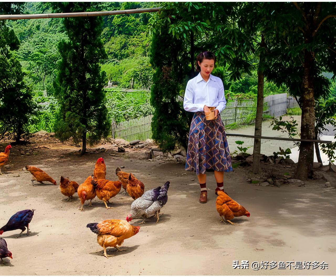 这是1947年赵四小姐在台湾软禁住所内喂鸡时留下的一张老照片，这可不是演戏，也绝