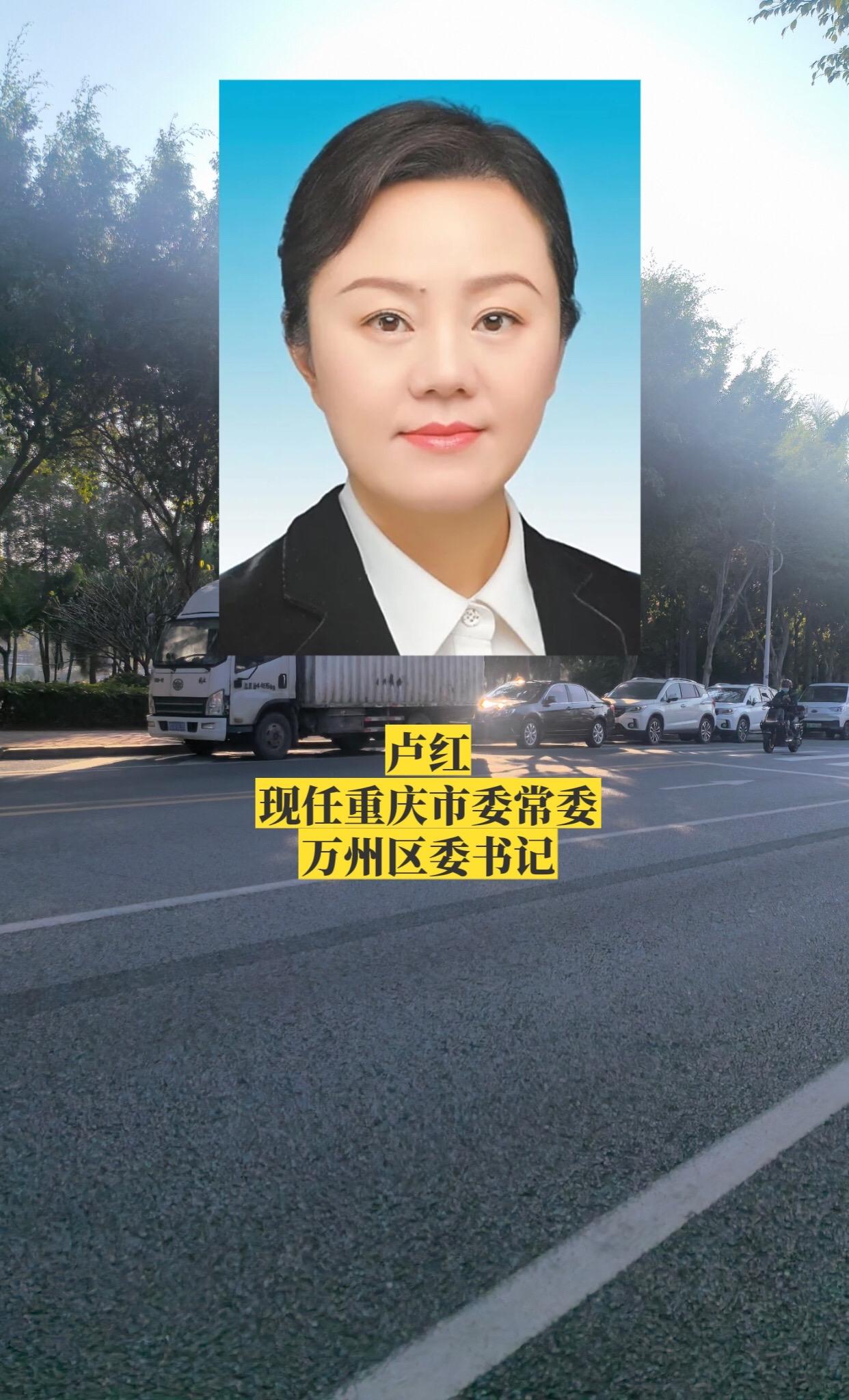 重庆万州区委领导。