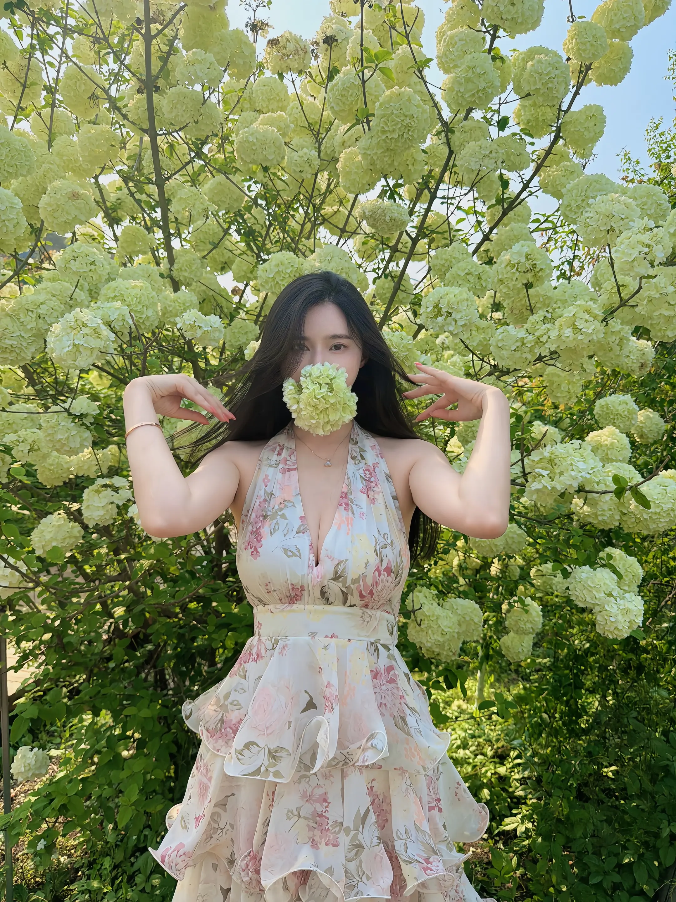 被绣球花淹没的春天🍃 第二年拍绣球花了 又被美到咯