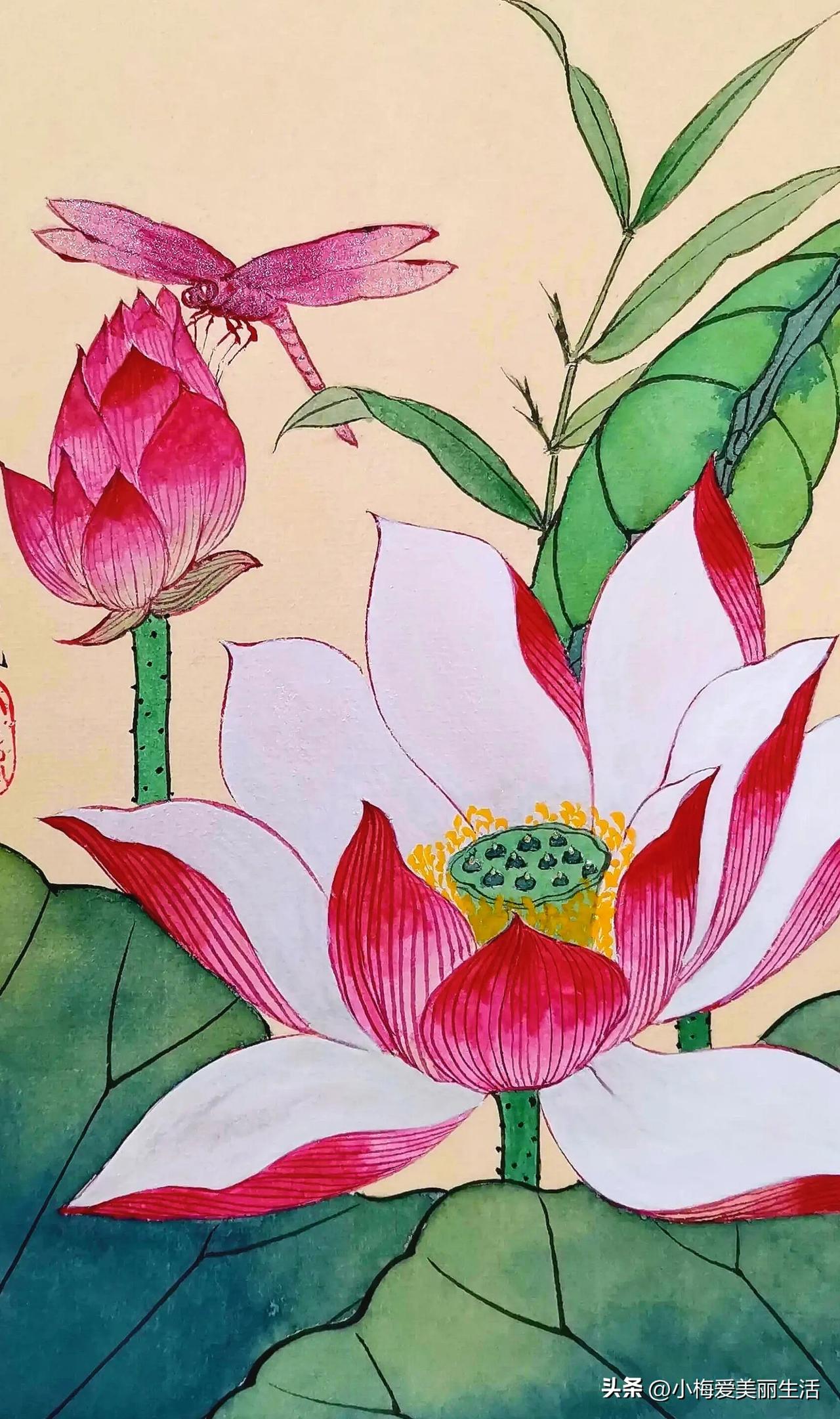 蜻蜓点水时，莲花映日红。