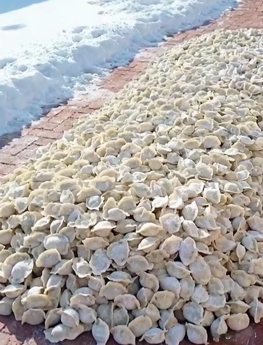 震撼，这么多冻饺子，从来没见过这么多冻饺子，东北农村又出圈了，这才是东北农村的猫