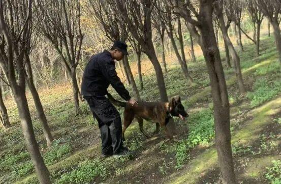 警民联手，连续找到两名走失老人获赞

在初冬的寒意里，两起老人走失事件牵动着无数