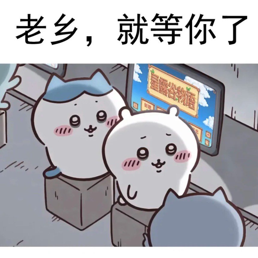 好消息星露谷音乐会的门票买到了（特别难抢）坏消息弄错了舞台方向 和程序员坐前后桌