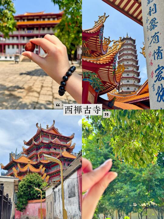 📍福州 ｜ 西禅寺的千年宋荔熟啦～快来！
