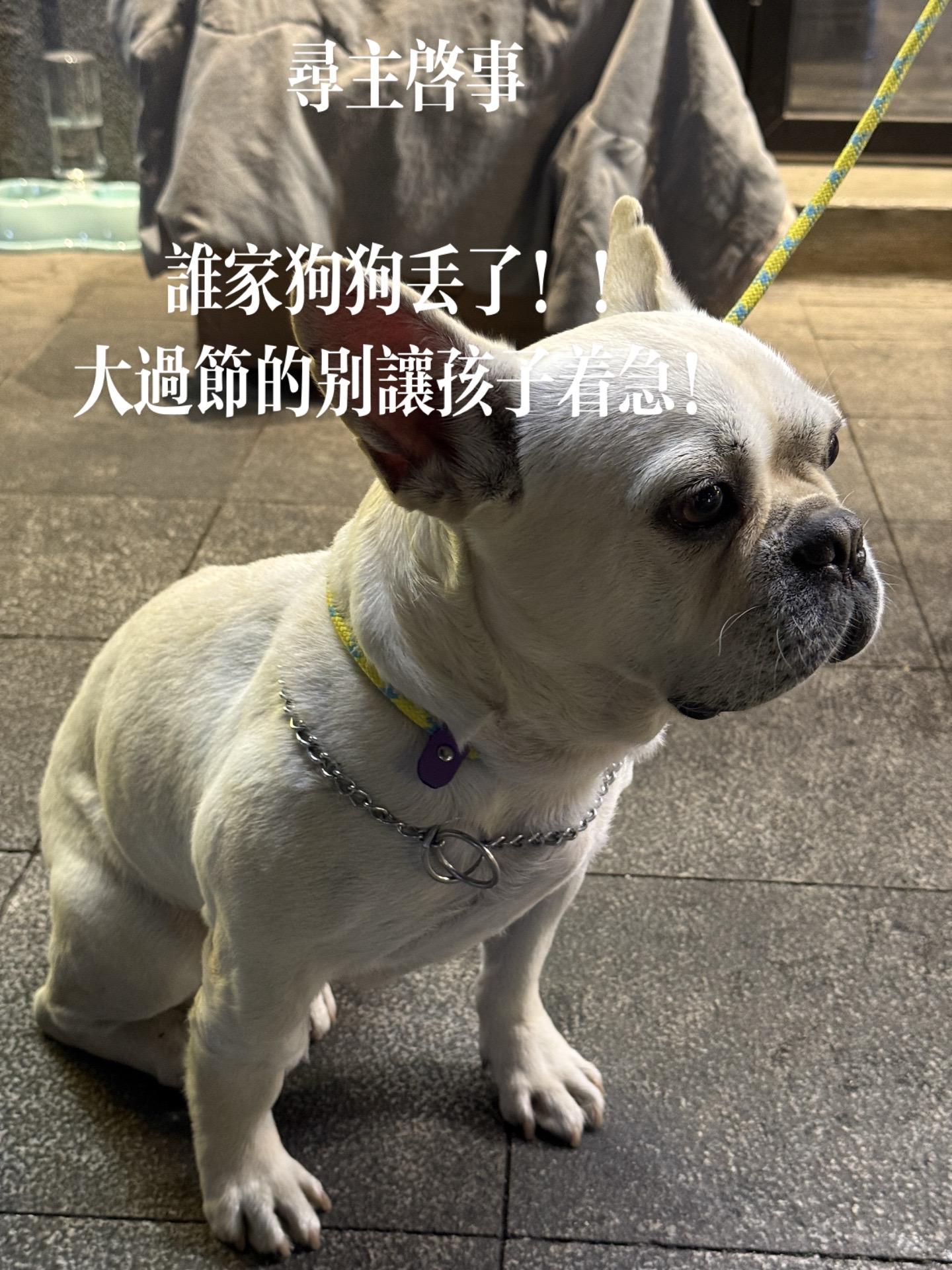麻烦主人到定位接一下孩子🐶。