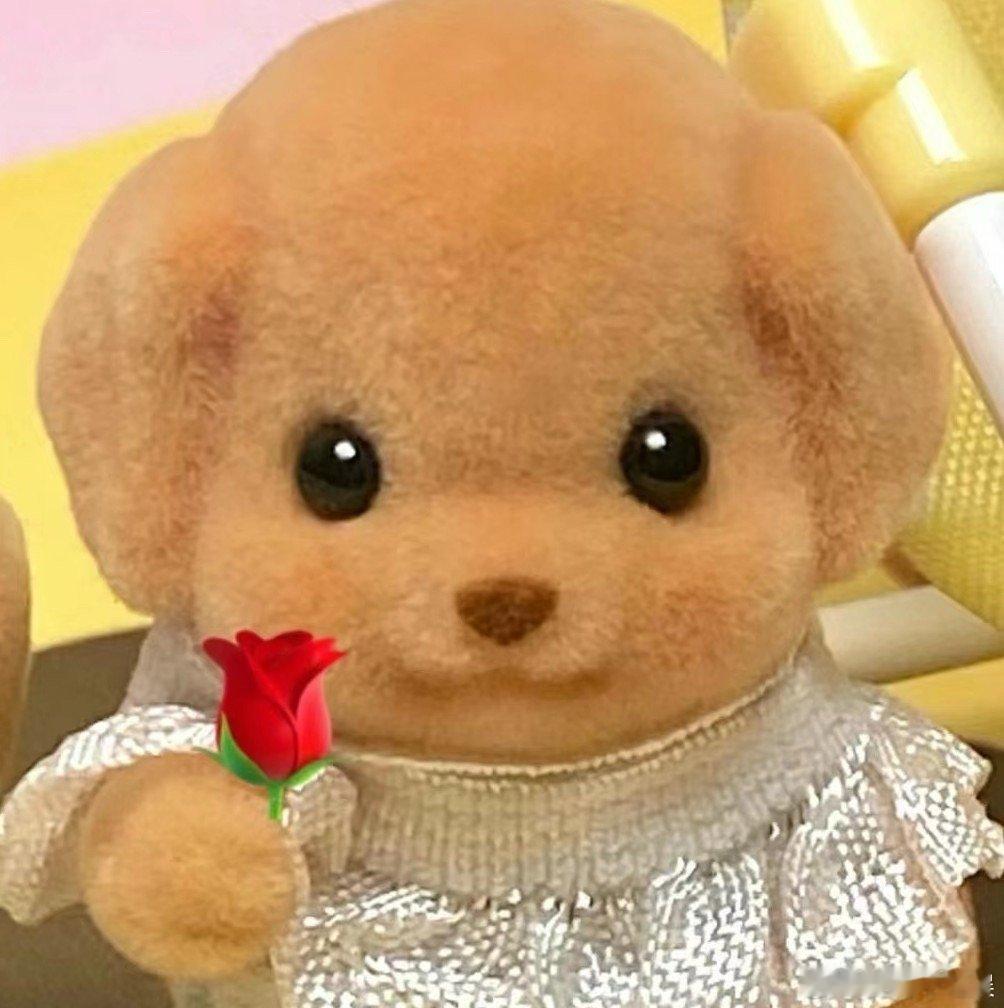 #考上研究生前后的颜值变化#开始第一天还是挺注重形象的，一个月以后就感觉彻底摆烂