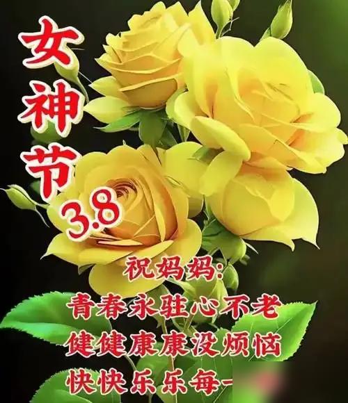 三月八日的晨光里，每一朵花都为女神绽放！今天不仅是节日，更是对女性力量的礼赞——