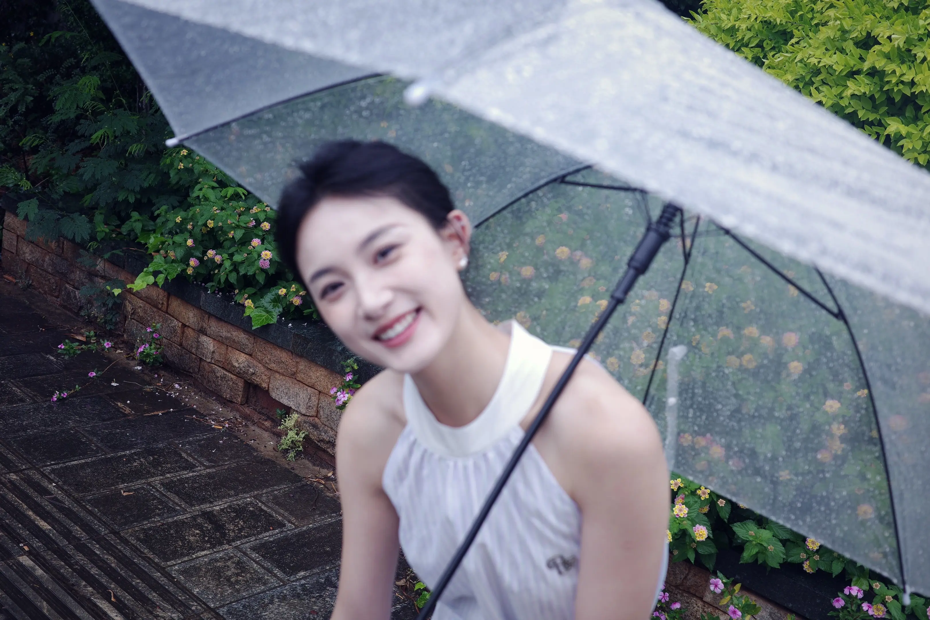 我努力看清你 发现朦胧时最美好