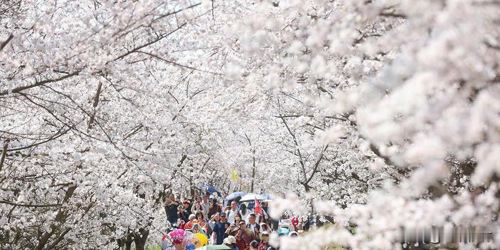 风柔日暖，万物向新，人间最美是清欢，四季最暖是春天。告别冬日的寒凉，奔赴一场温柔