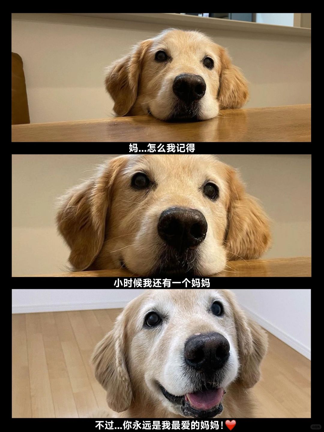 妈…我记得小时候好像还有一个妈妈…