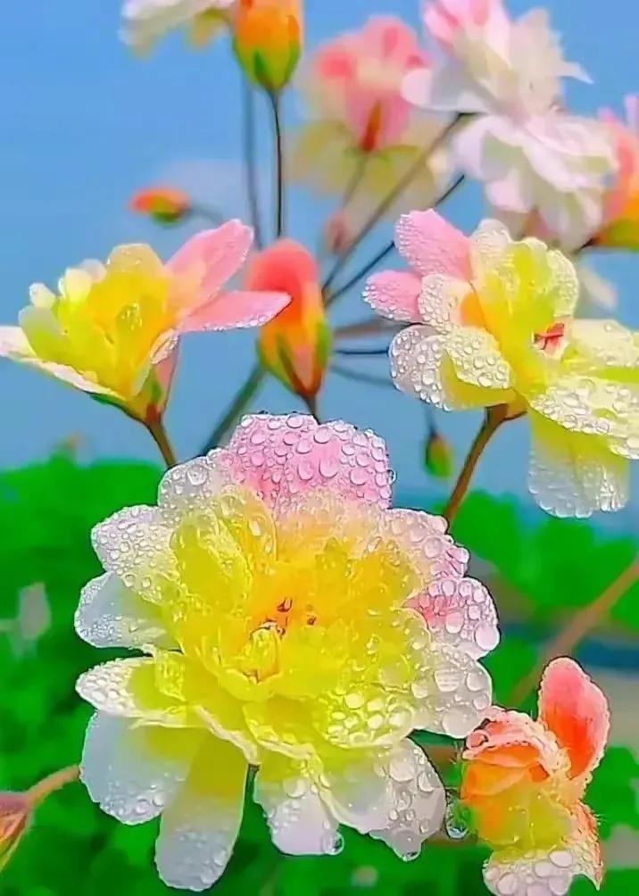 昨夜今晨，美国8月CPI数据出炉，CPI与核心CPI的同比表现均符合市场预期，但