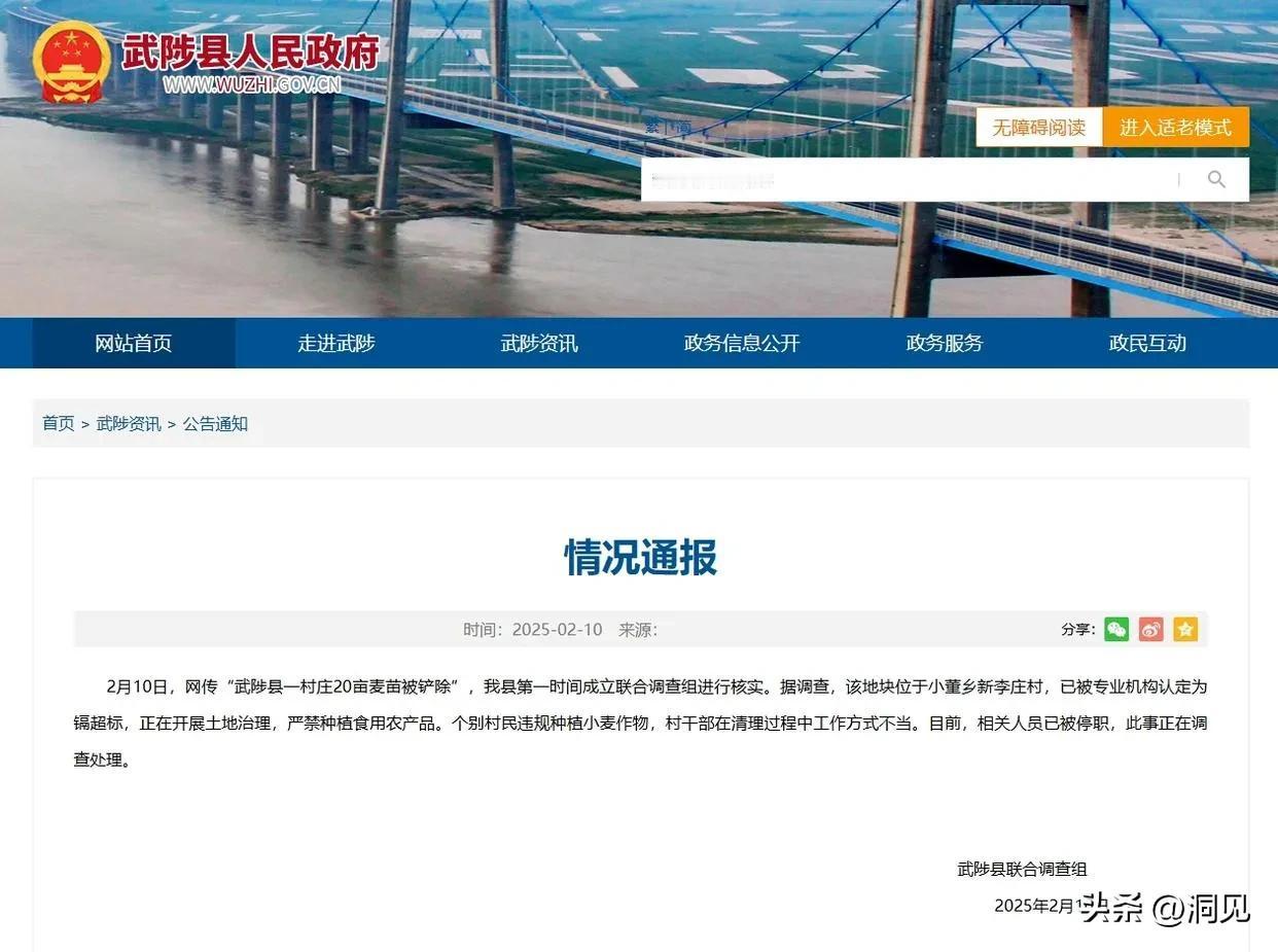 据媒体报道，2月10日，武陟县人民政府针对网传“武陟县一村庄20亩麦苗被铲除”一