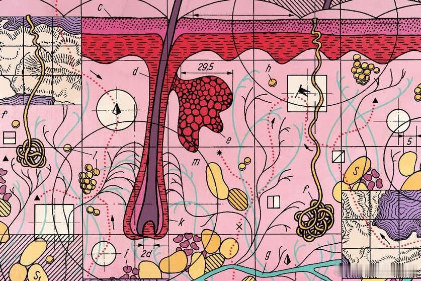 空间多组学技术：推动疑难杂病的诊疗能力！11月26日，发表在NewScienti