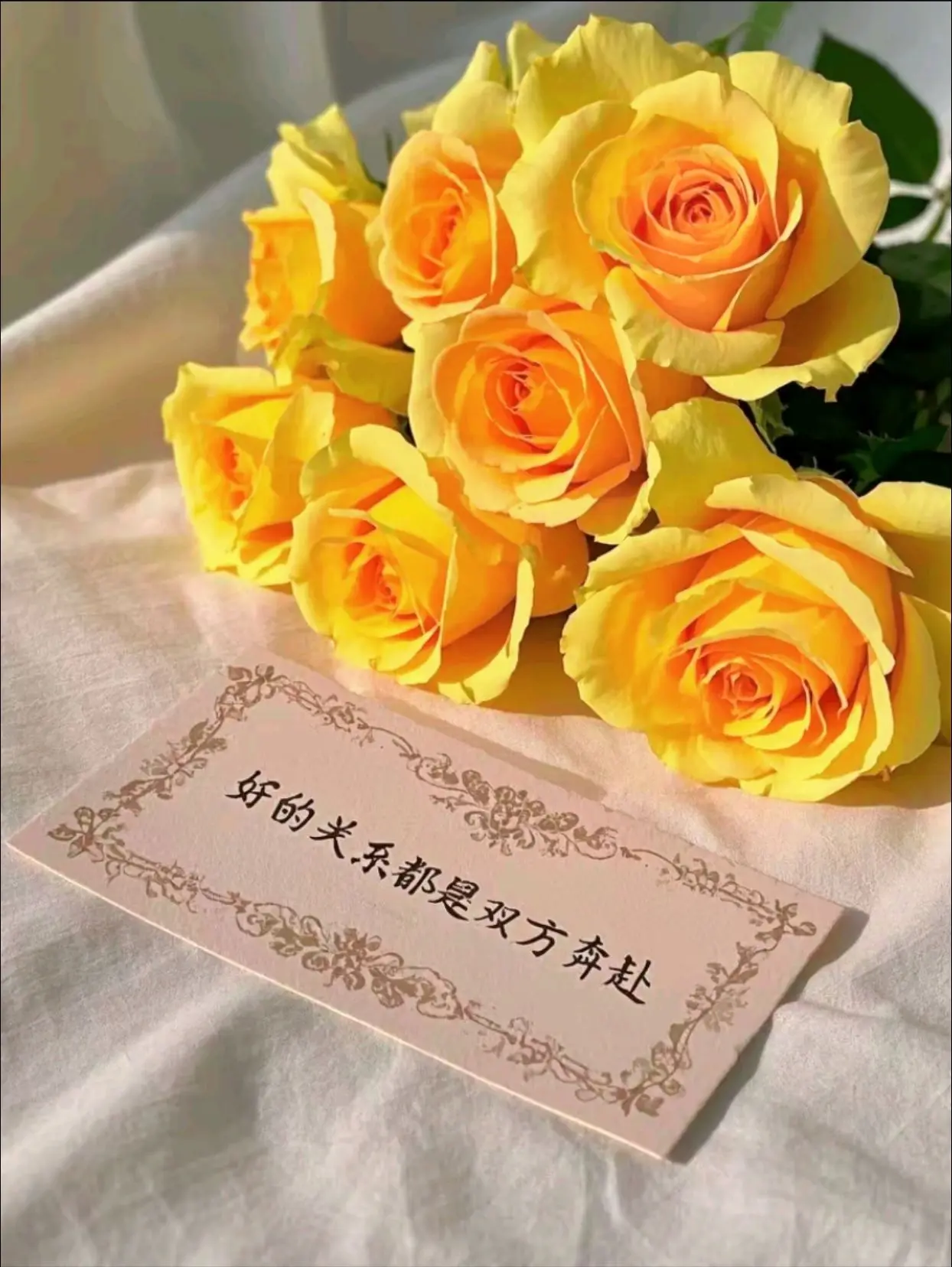 “好的关系都是互相迁就 双向奔赴你愿意我值得.