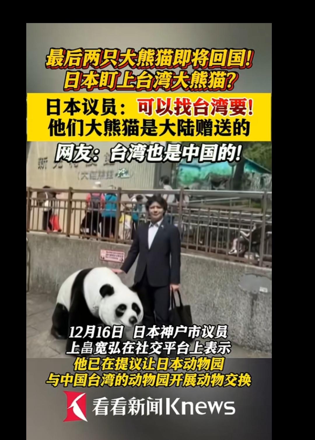 日本真有大聪明，日本即将没有大熊猫，说找台湾要，台湾大熊猫是大陆给的，看不清形势