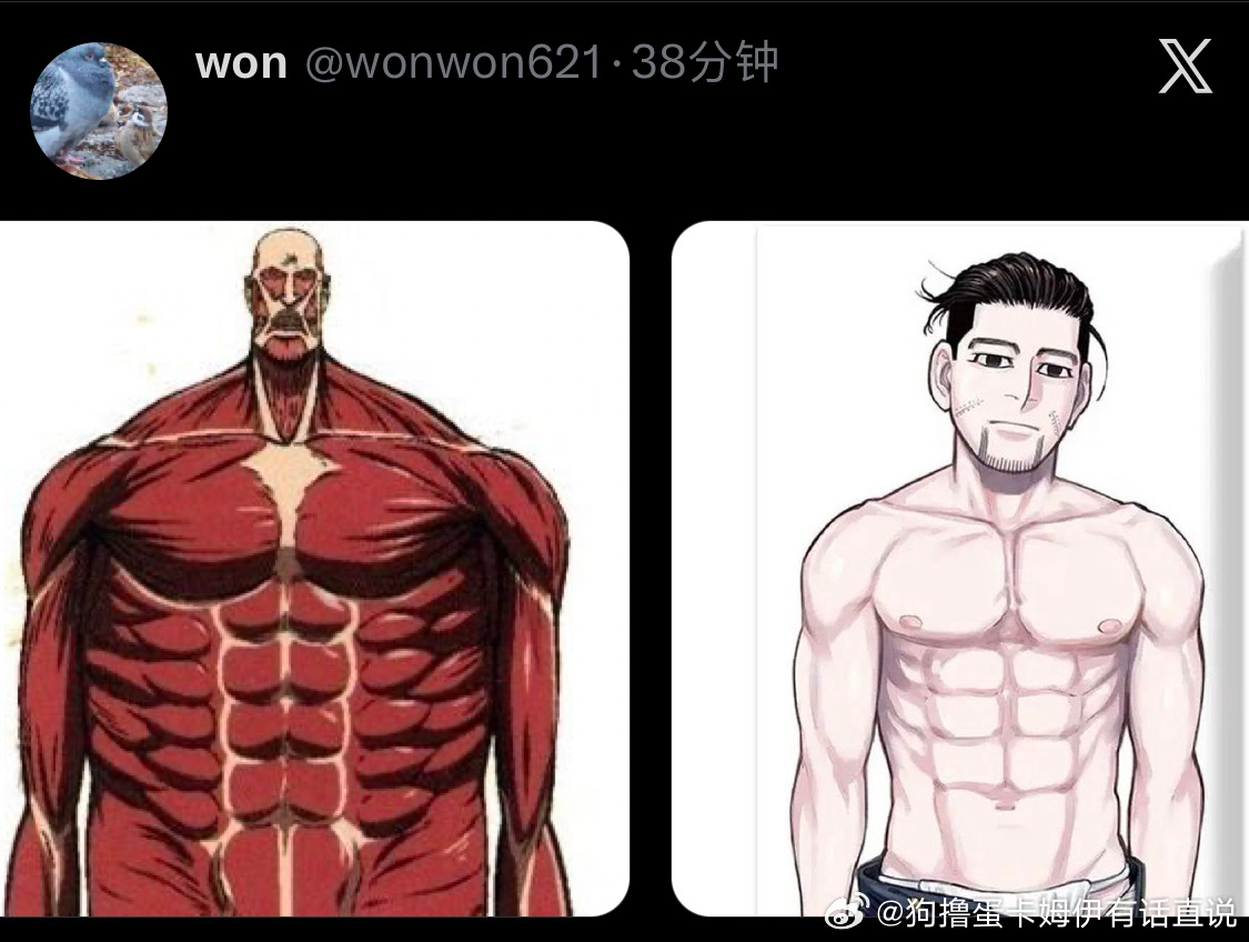 5243【找相似】 
