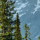 阳光信用  以善意对待周遭的人和事，不盼立时的回馈，漫长岁月里，终会收获同等的温