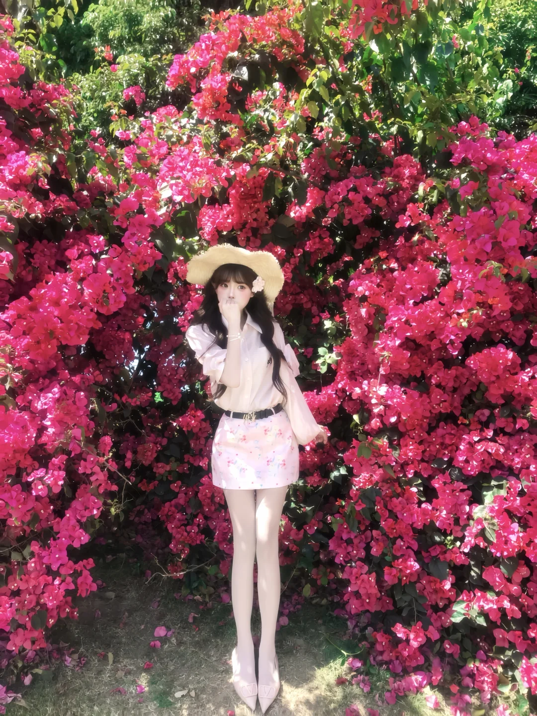 三角梅的花语 🌺