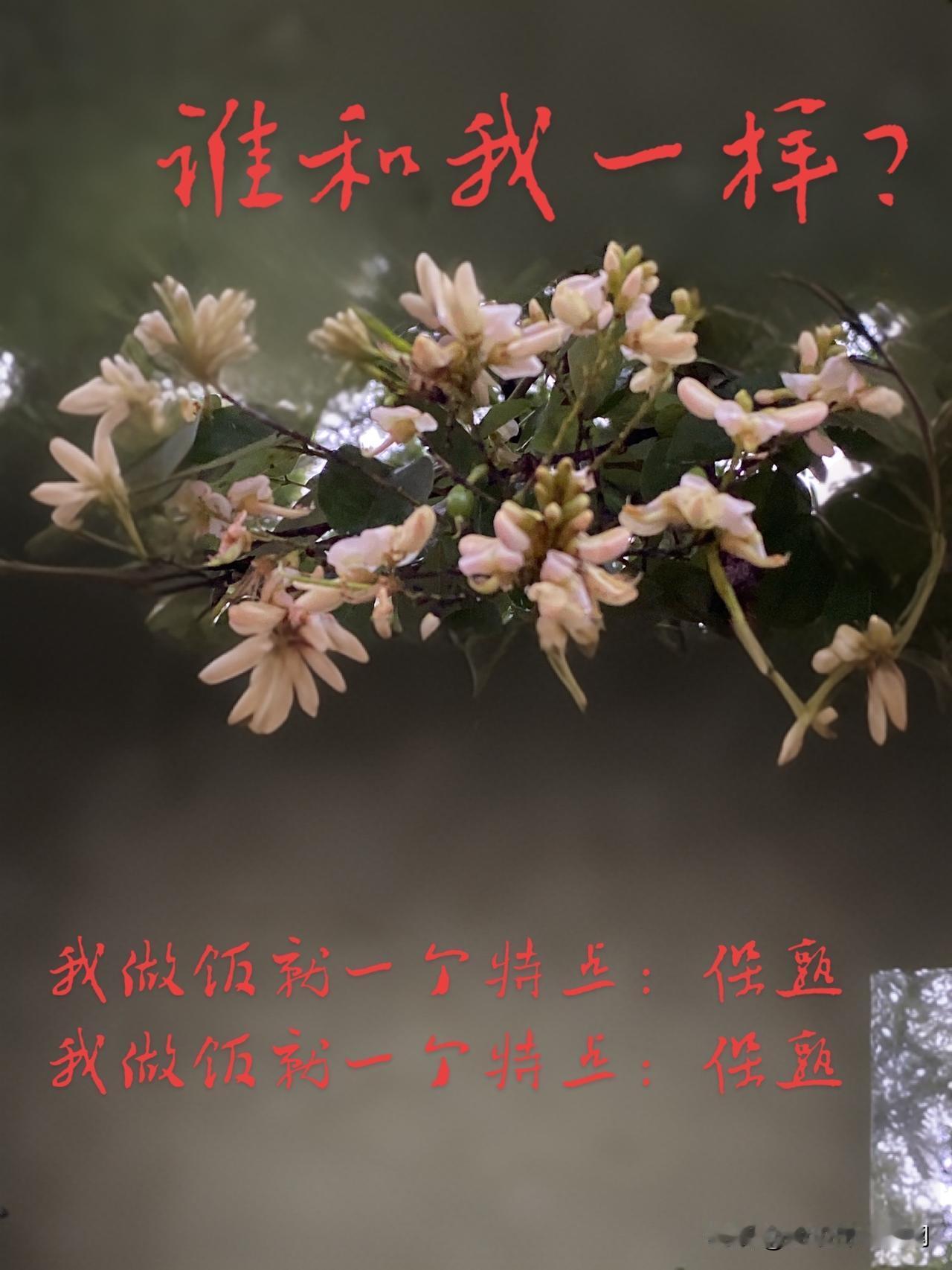 桂花要开了，中秋要到了
秋士秋季羡秋天，尔须悦木煮流年。
欲携桂花同载酒，他乡故