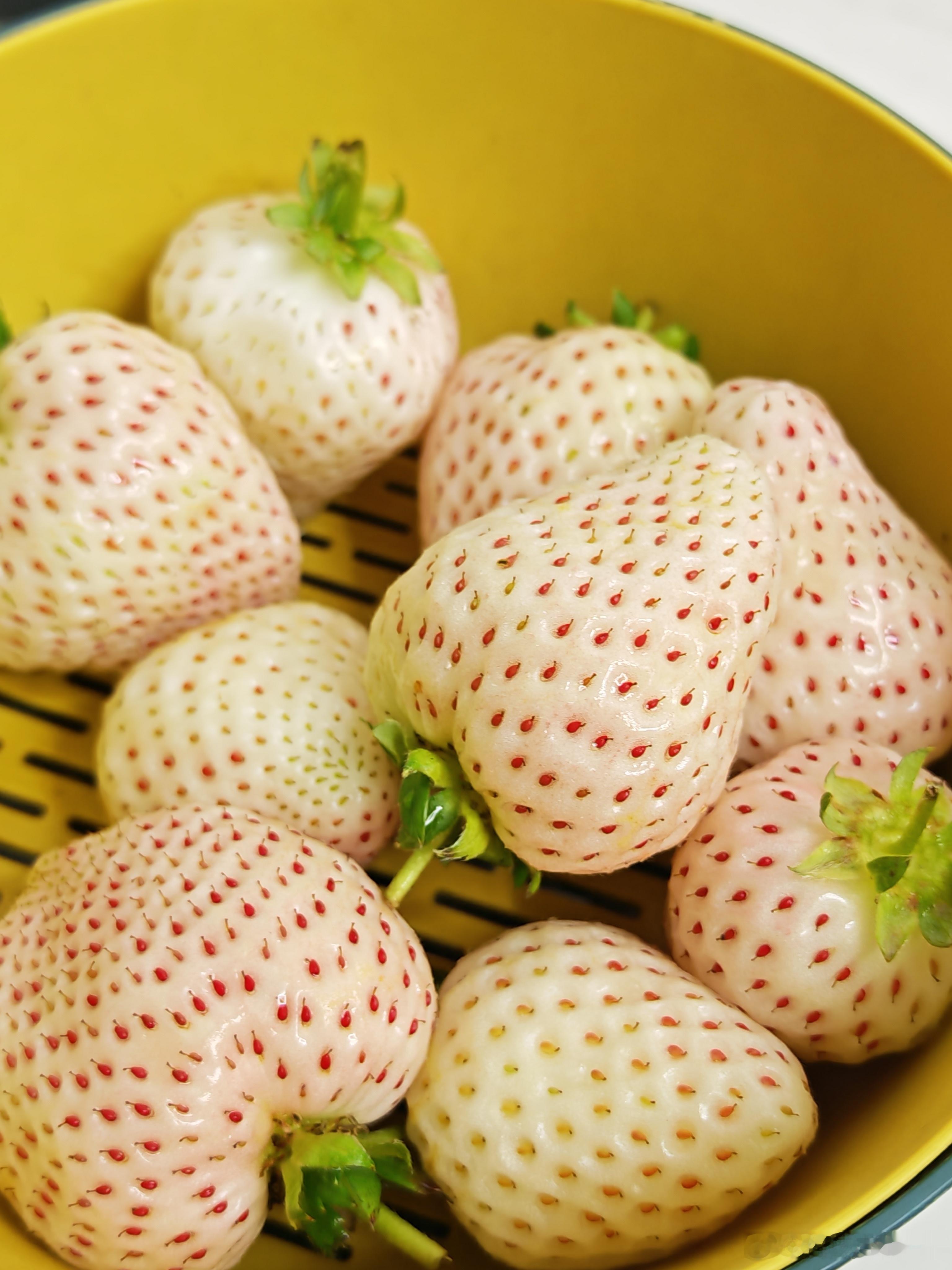 10元一斤草莓和300元一斤草莓区别怎么又出来个黑色草莓，还卖这么贵，我记得之前