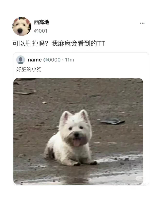 好脏的小狗 