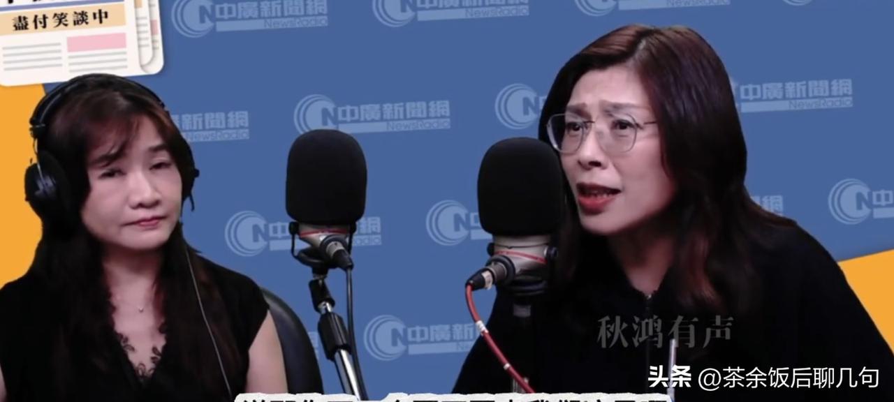 她从美国回来，说话却没谱了。

竟然说什么“欧盟模式”“永久维持现状”，这说白了