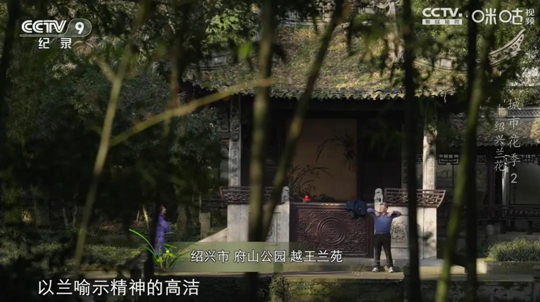 美到心醉！这部宝藏华语片，拍出了城市的灵魂香气