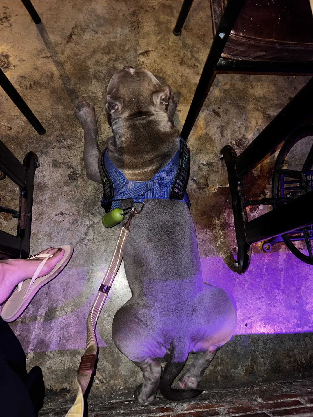 社牛Tommy哥最喜欢就是去酒吧