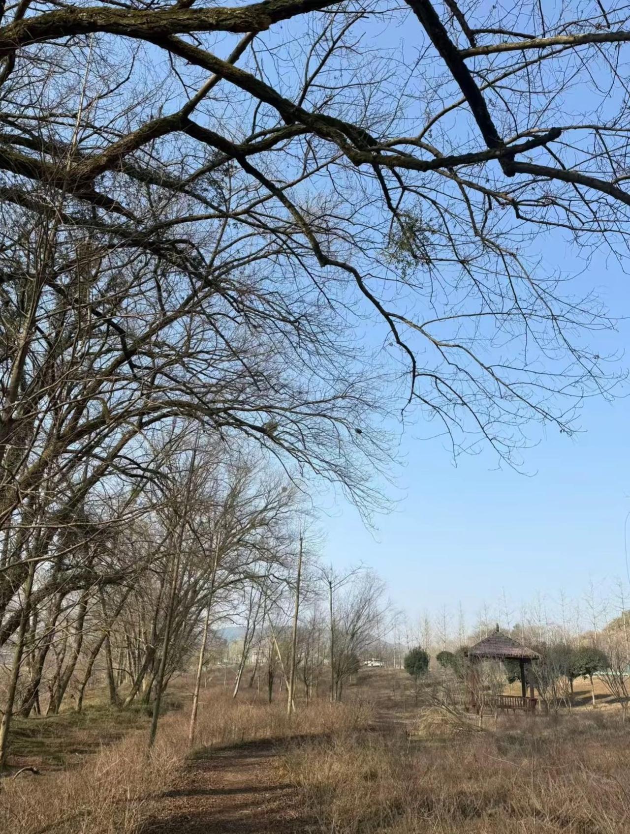 平静的内心，能让我们在喧嚣中找到自己的方向，享受生活的美好。治愈系风景， 创作者