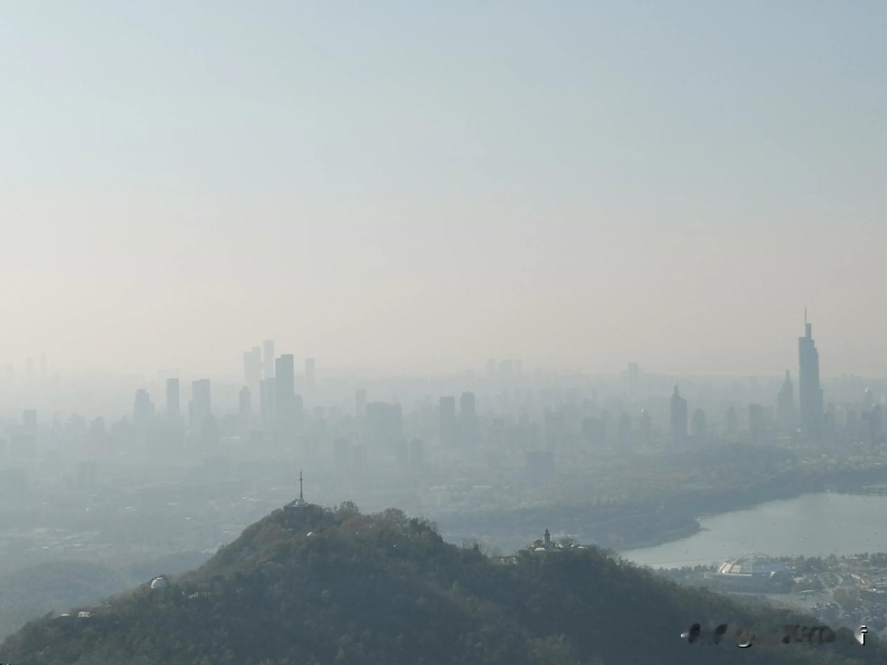 从东南山麓的五棵松出发，是爬紫金山最为理想的一条大道。道路宽阔，坡度平缓，老少皆