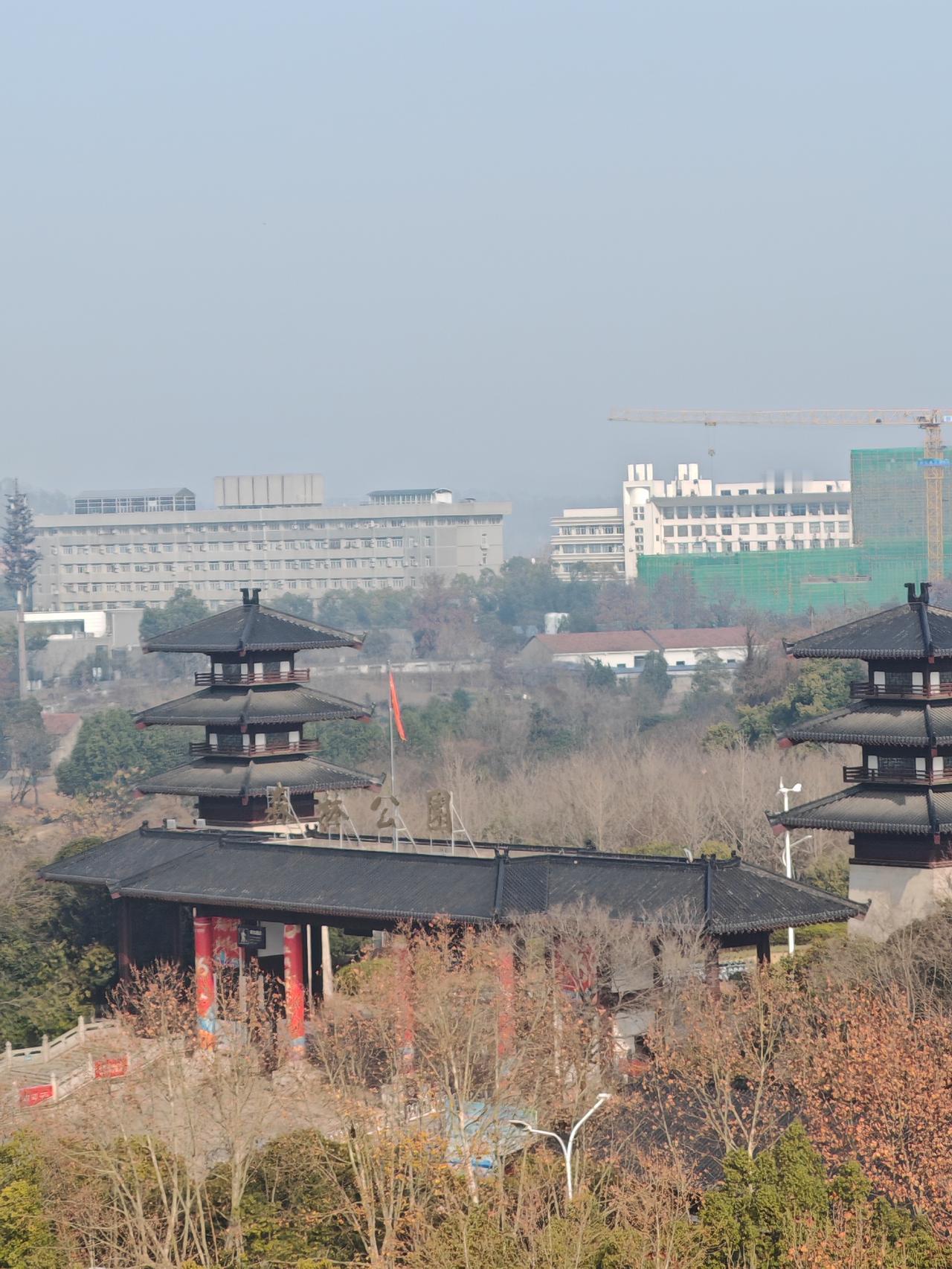 晒图笔记大赛冬天对面公园里的景色有些萧条，冬天就是这样。