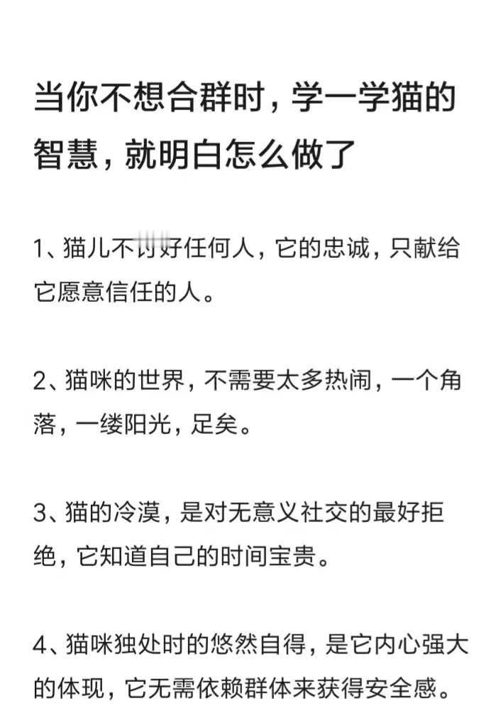 当你不想合群时，就学学猫的智慧吧 