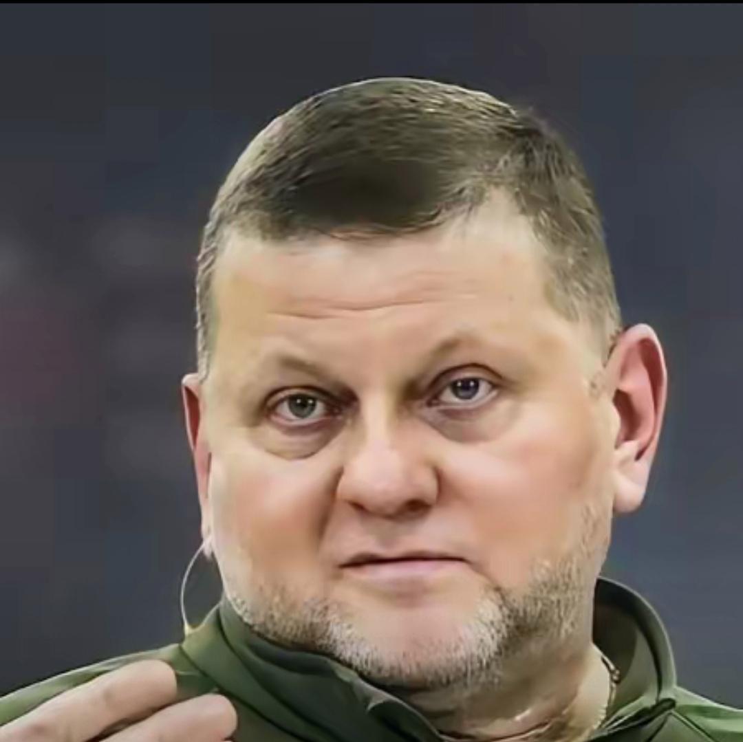 还没停火呢，已经开始患上焦虑症了……
乌克兰前总司令扎卢日内最近放出警示：等俄乌