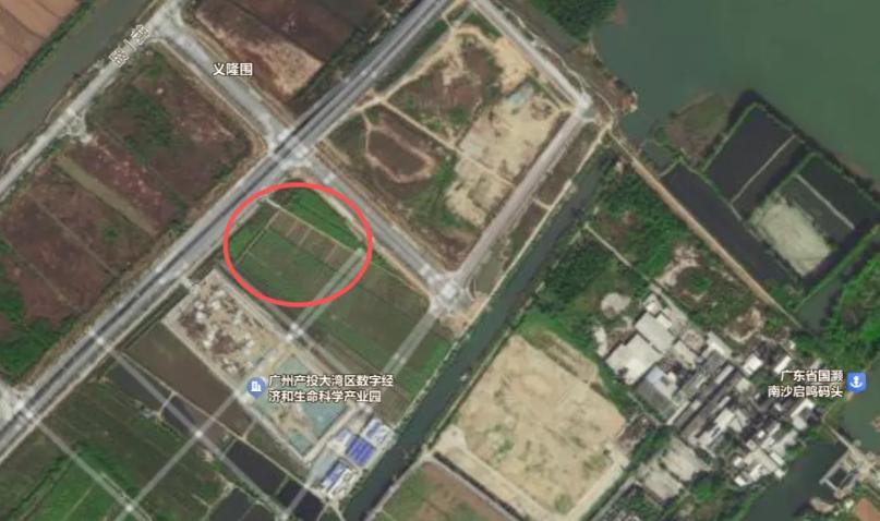 【珠江街滨海CBD继续转向！又一个产业项目选址落地】之前被推上南沙新风口的珠江街