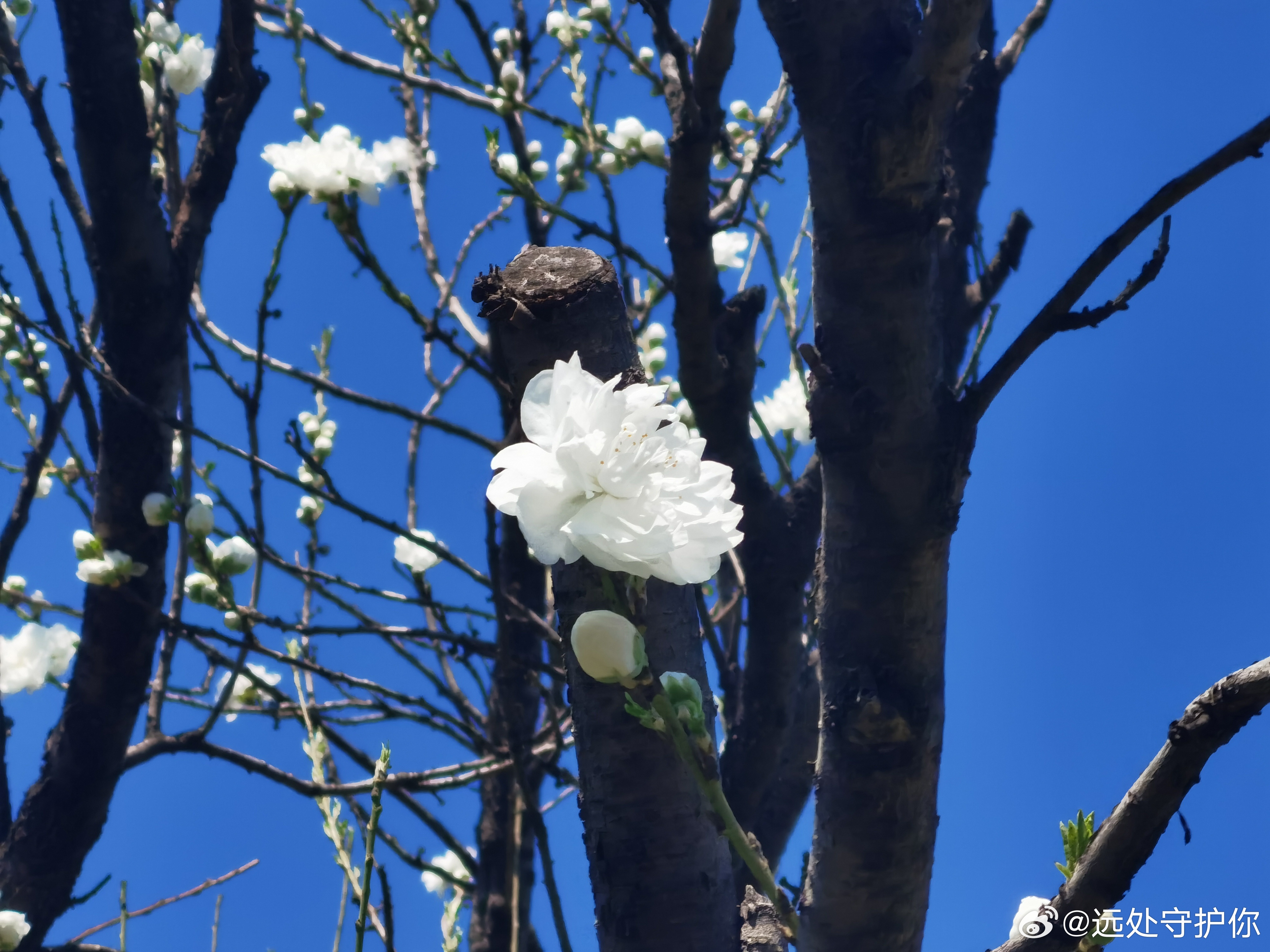 生活的甜，要自己找，比如，雨天里刚好带了伞，每一件小事都能酿成满心欢喜 