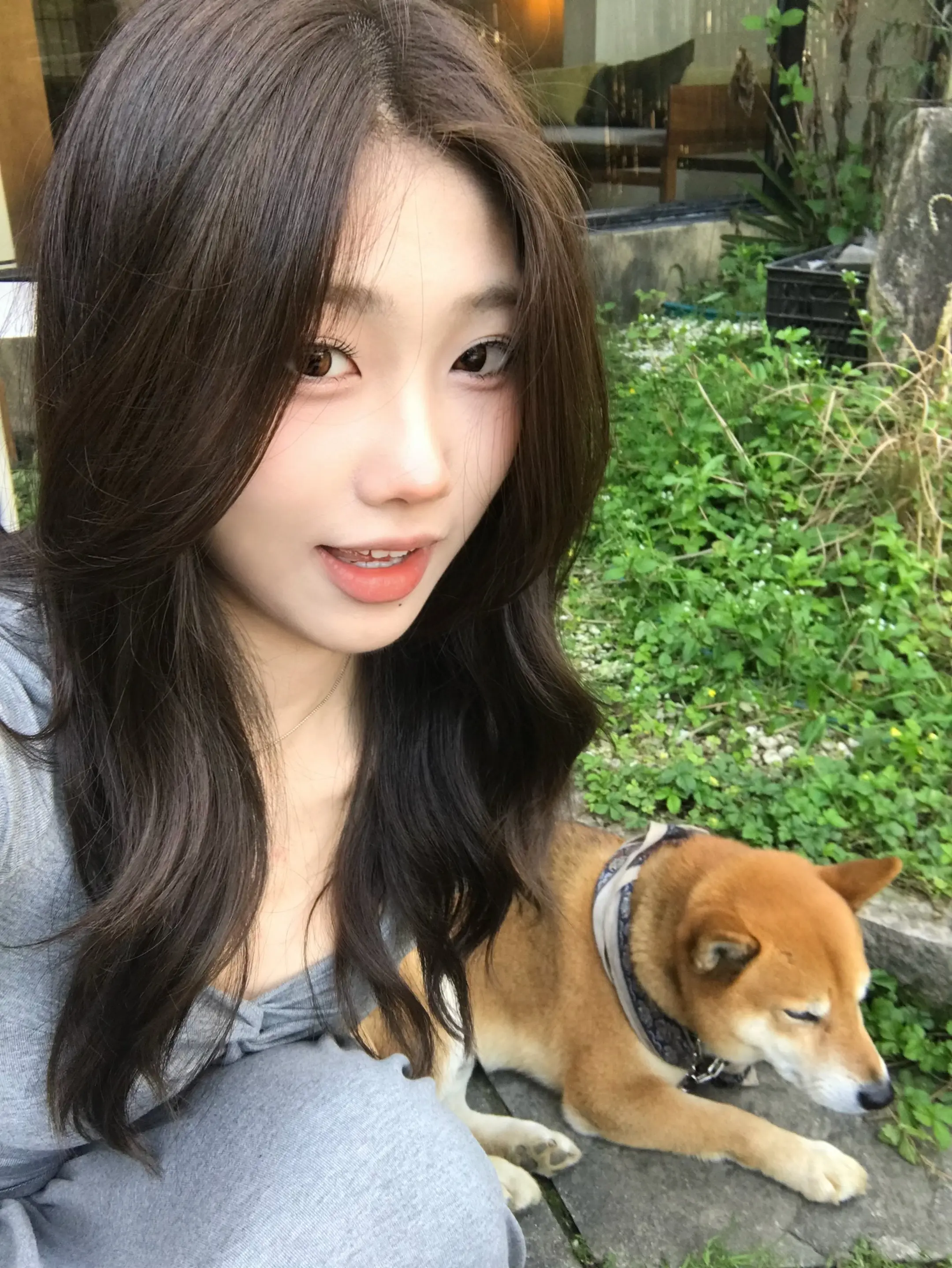 只要小狗还在摇尾巴 就永远会有人爱你