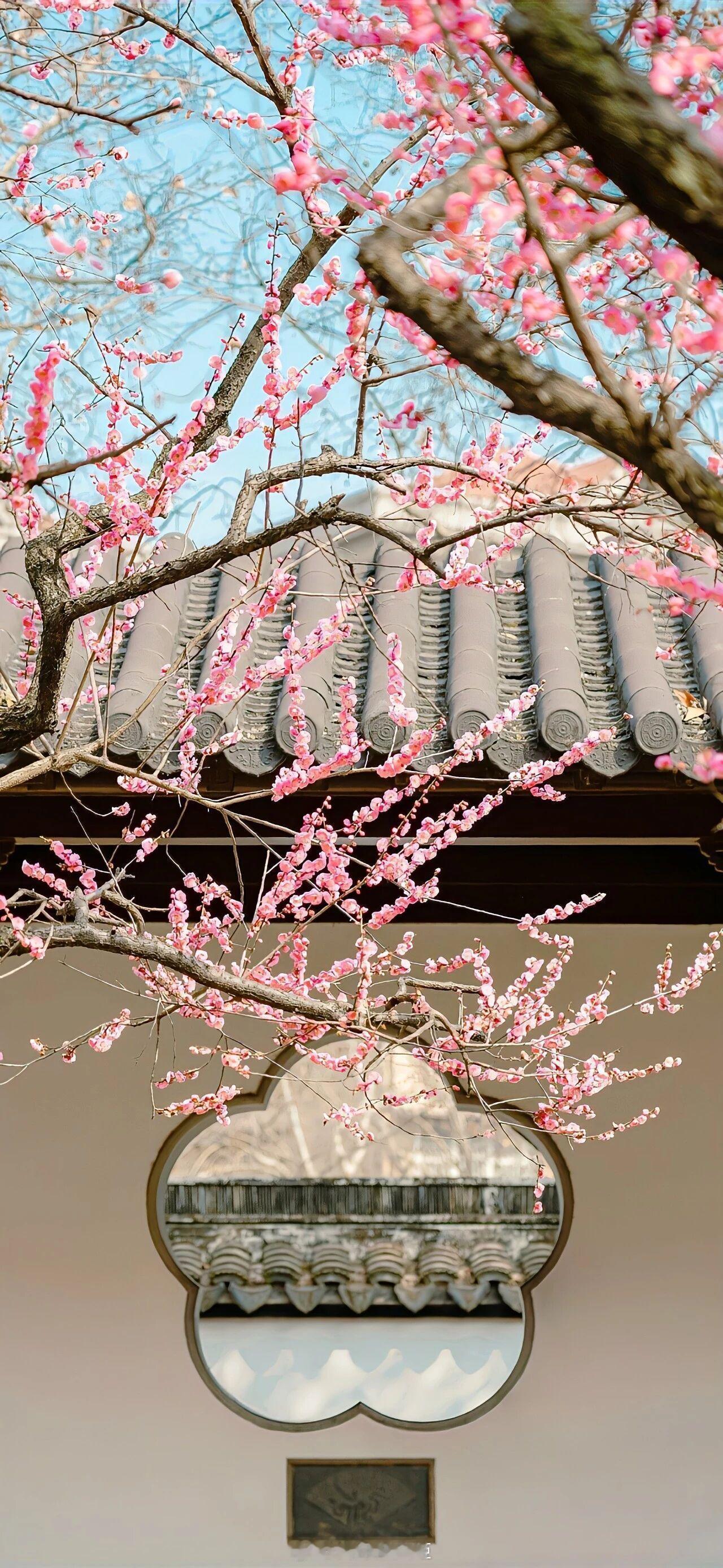 爱就是，你想要他不断地给你糖吃，又愿意把你所有的糖送给他。——《御街行》晚安