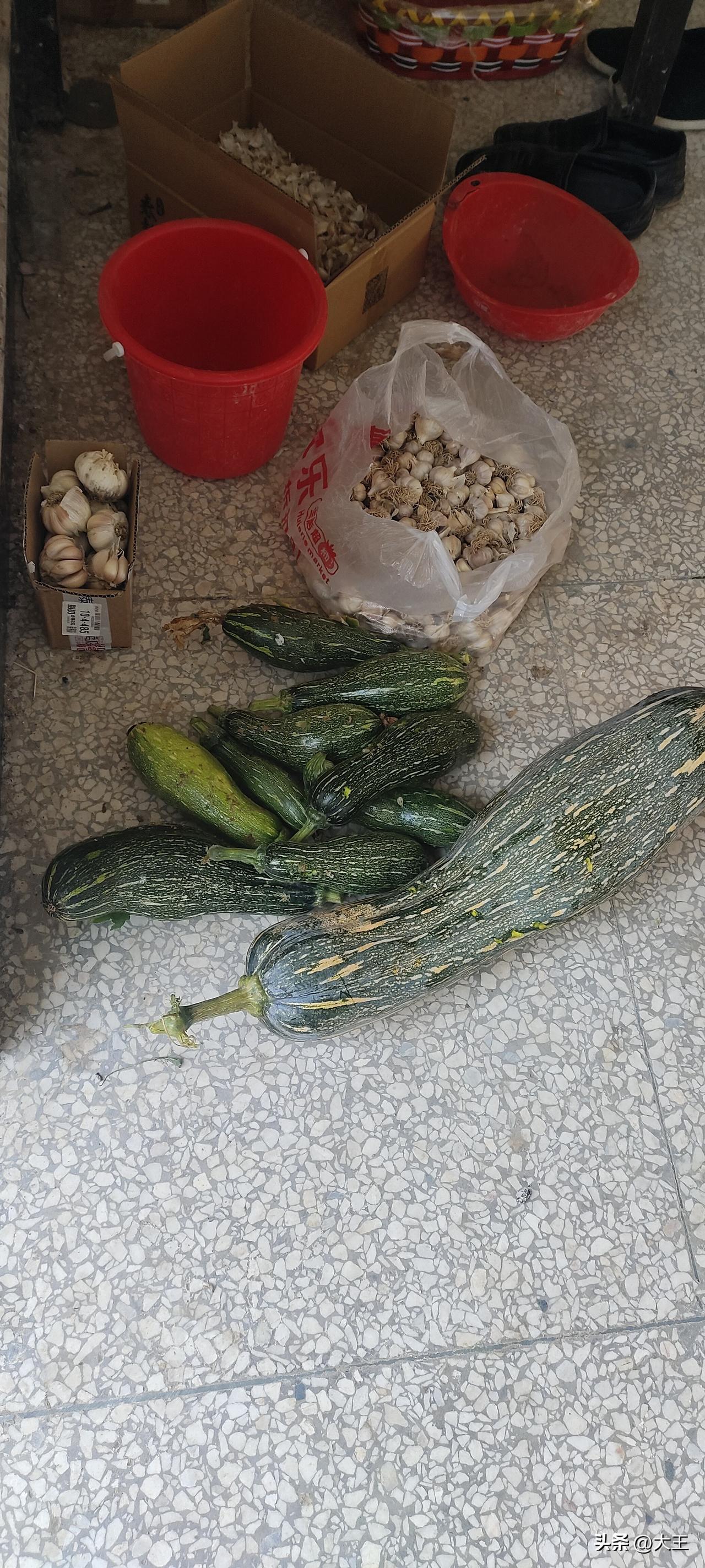 刚从菜市场拎回一兜青菜和半袋蒜头，往地上一摊瞬间就有了做饭的实感。
本来只想做盘