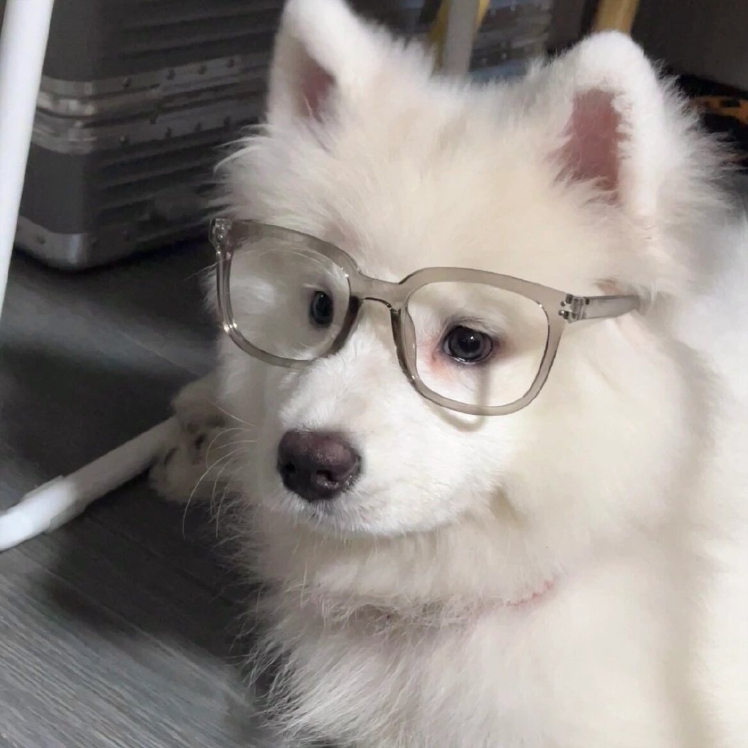 班级里新来的转校生看起来成绩很好的样子耶 