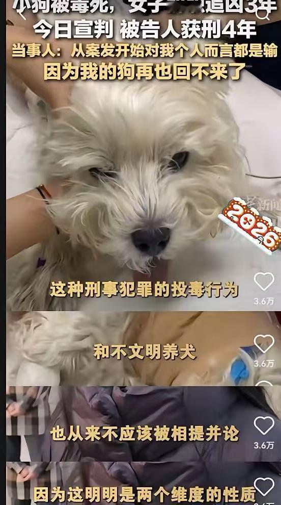 看了女子辞去工作
三年只为自己的小狗讨回公道这件事
给了我深深的震撼，我决定以后