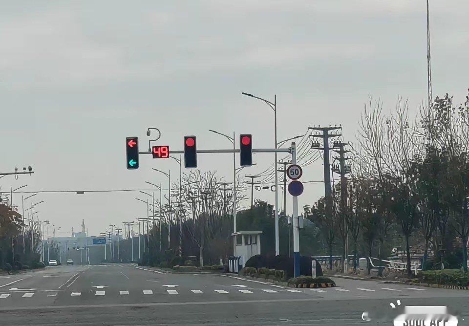 我正在路上行驶，前方是红绿灯。我现在很纠结，到底可不可以左转呢？有没有朋友能告诉