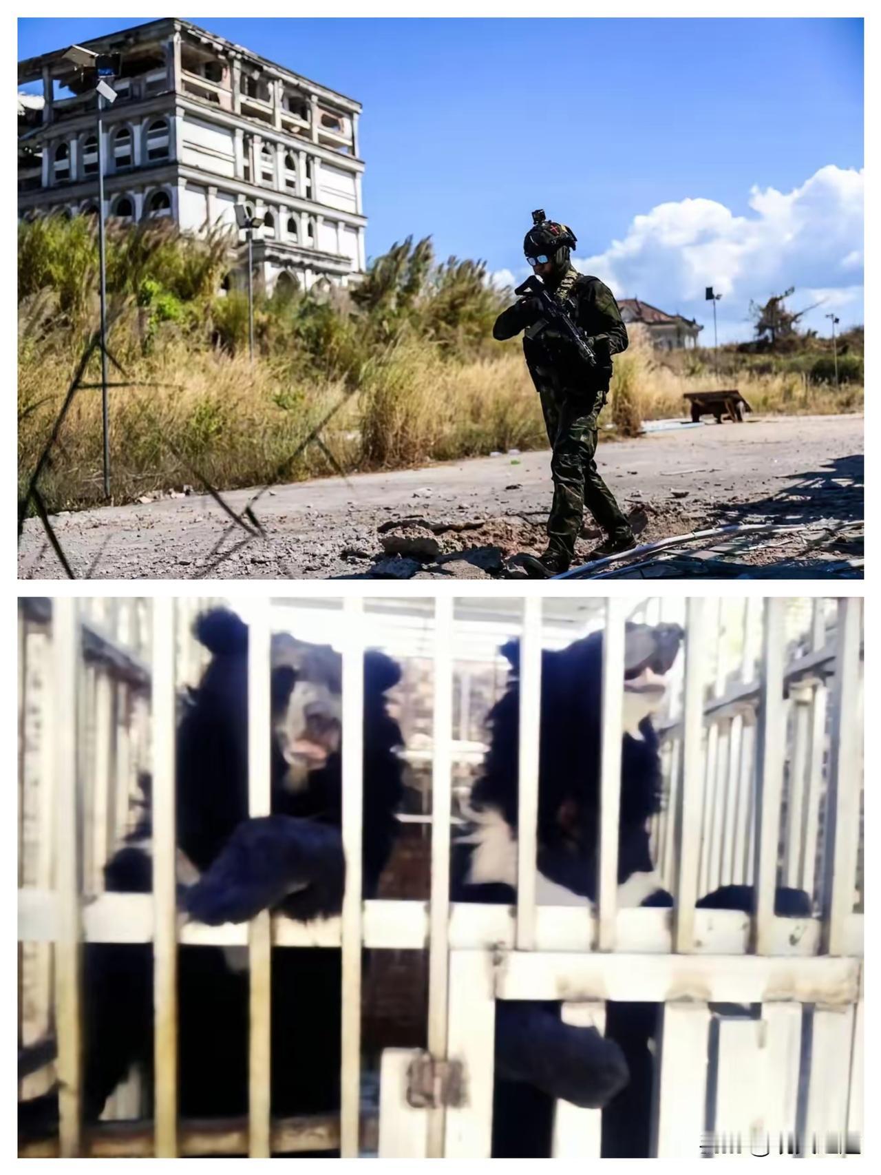 真是细思极恐，泰国海军陆战队进入一家柬埔寨赌场，空无一人的赌场深处，竟然发现了大