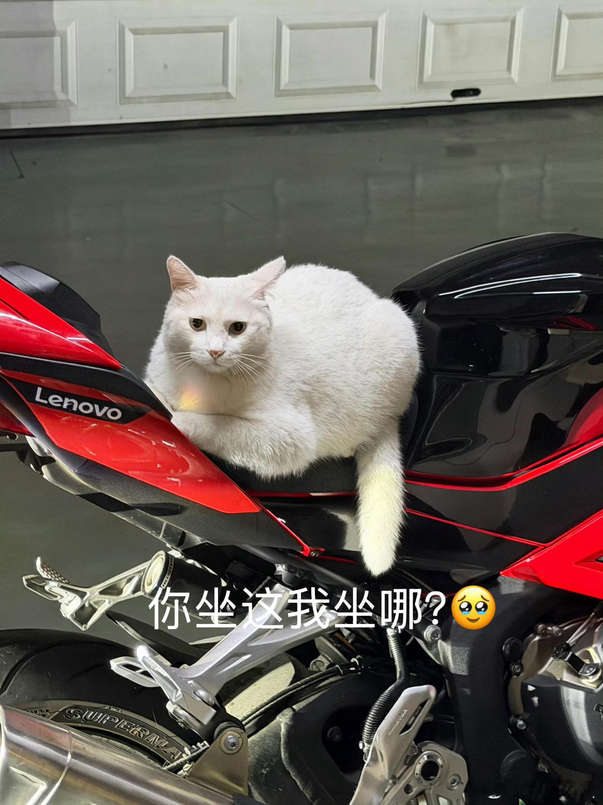 你怎么这么可爱啊🥹🥹🥹 ​​​