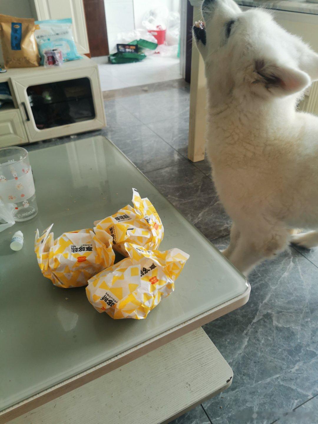你爱我我爱你周三晴转多云快乐！！！本周的三汉堡圣代套餐，周日生日还能吃一回汉堡，