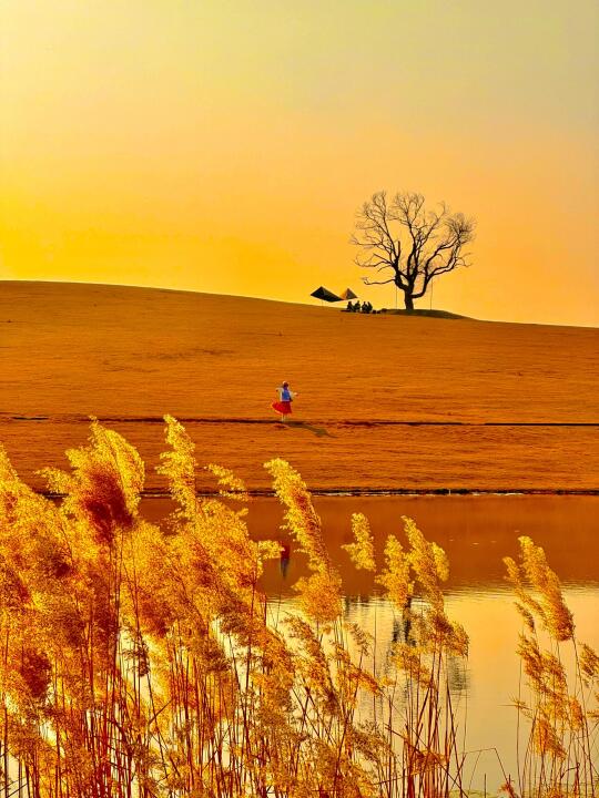 以为青岛已经够美了！直到我去了日照…live