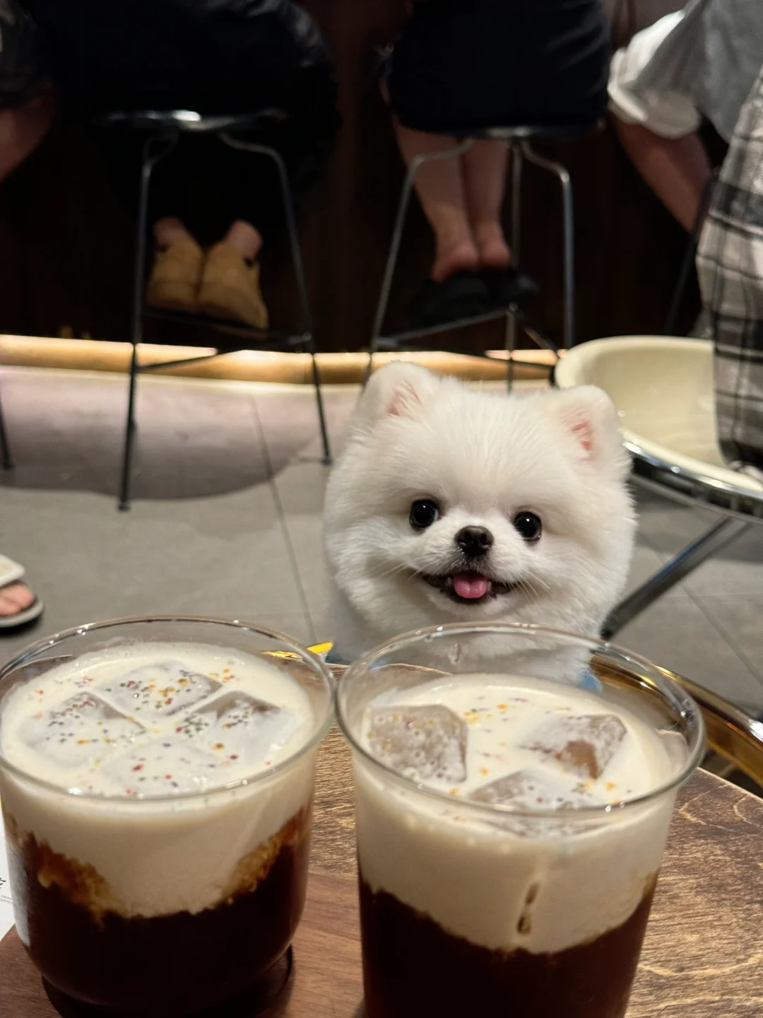 假期咖啡搭子☕️