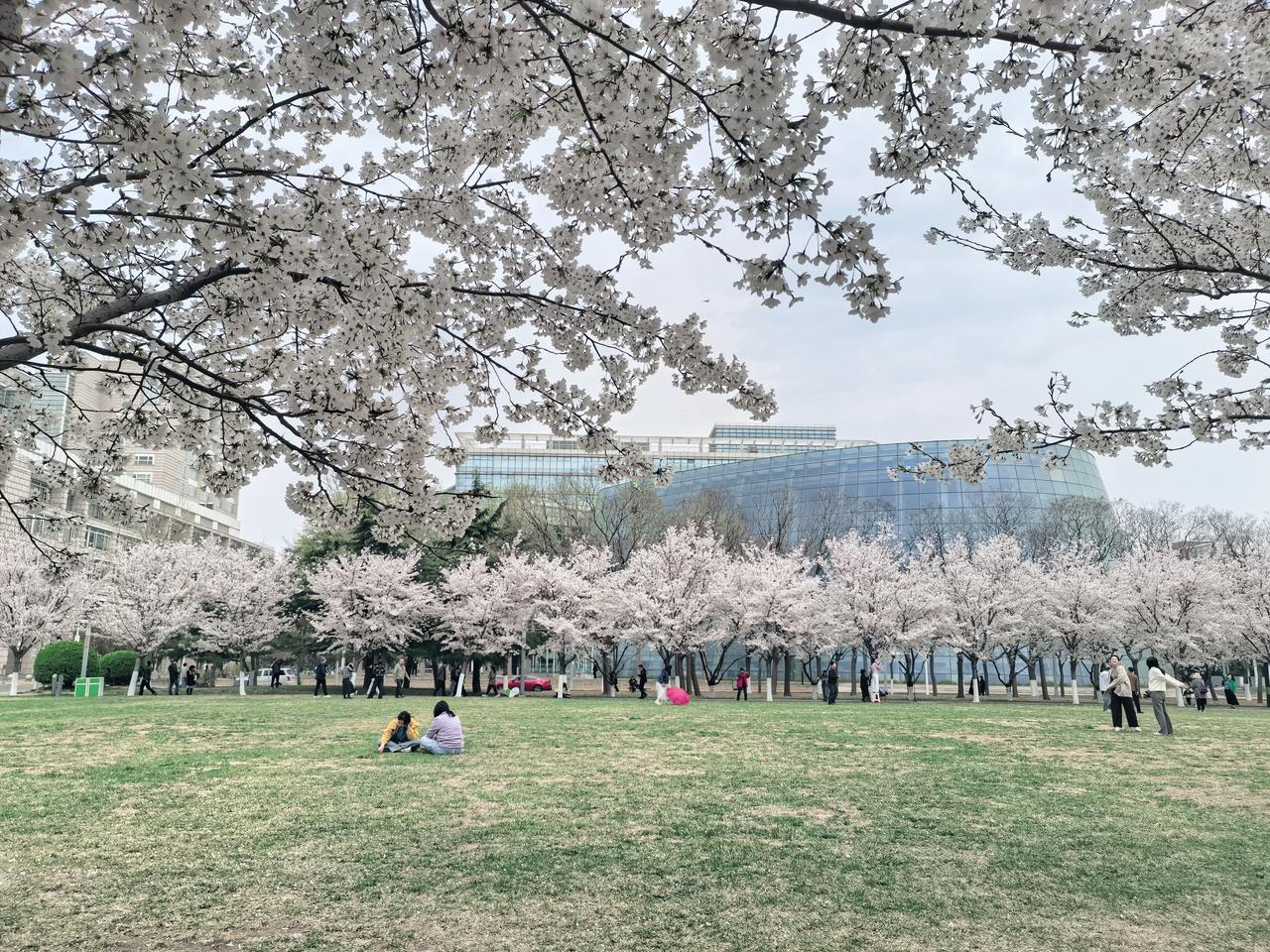 四月，你好呀
清明过后，日子忽然就亮了
身体还困在假期的余温中
等待苏醒
生活的