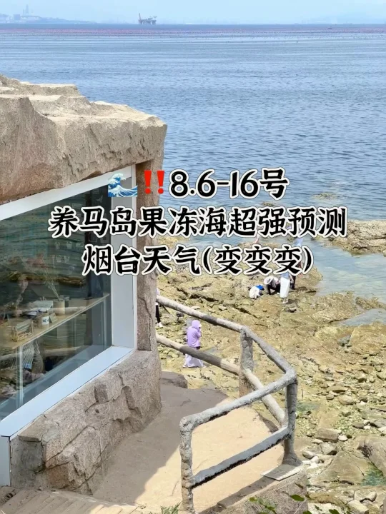 📍8.6-16号烟台养马岛果冻海超强预测